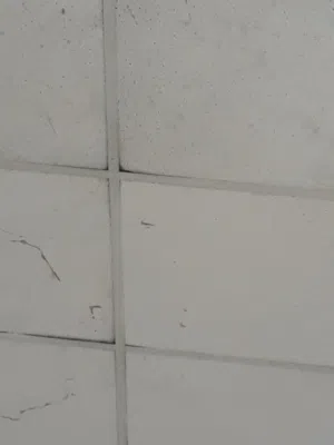 بدروم للبيع بوادي حوف