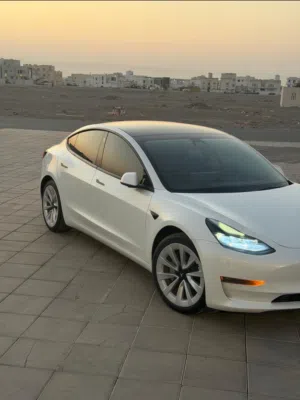 Used Tesla Model 3 in Muscat