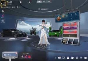 Pubg Accounts and Characters for Sale in Al Batinah