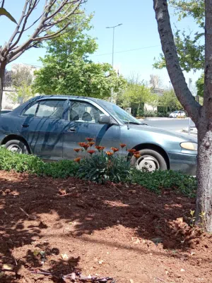 Used Hyundai Accent in Amman