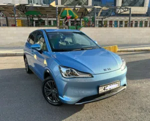 Neta v 2022