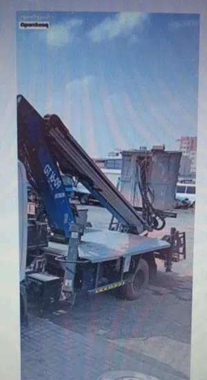 lion lifting