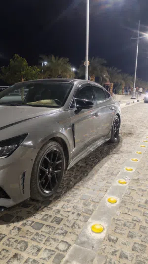 ويل كب سوناتا مع تخم اطارات جديد