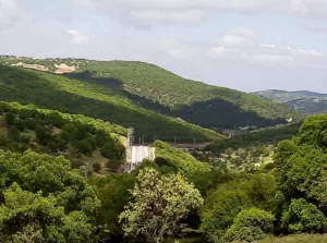 Farm Land for Sale in Ajloun E'in Jana