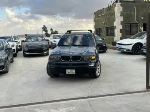 BMW E53 X5 Drive 2005