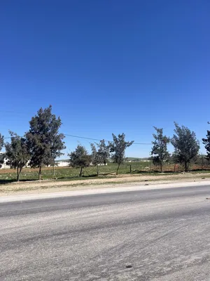 Mixed Use Land for Sale in Ramtha Romtha