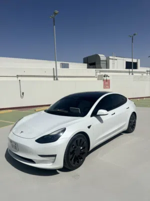 TESLA MODEL 3 PERFORMANCE