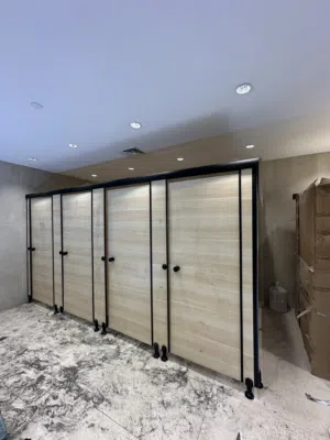 Phelonic cubical toilet partition door