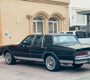 شفر كابرس LS88