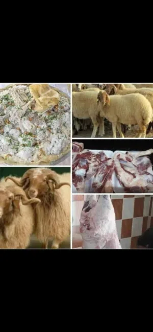 نبدا بصلاة على النبي عروض