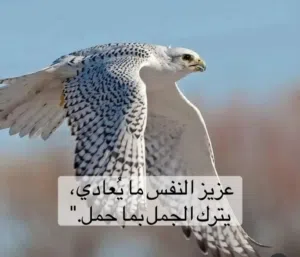 Abdullah 