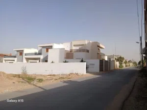االارض ورقها سليم