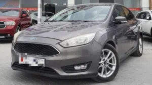 Ford Focus 2016 in Lush Condition