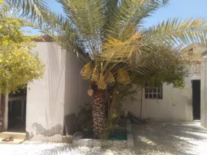 323 m2 2 Bedrooms Townhouse for Sale in Al Dakhiliya Sumail