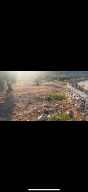 Mixed Use Land for Sale in Qalqilya Kafr Laqif