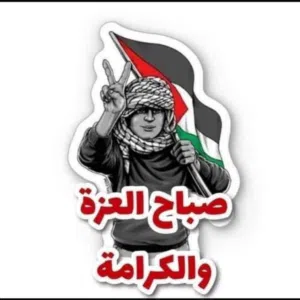 محمد ابوقيس 