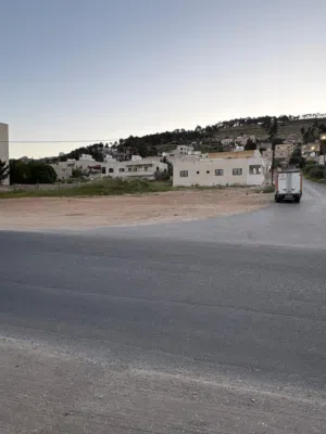 أرض للبيع - عين الباشا / خرشا