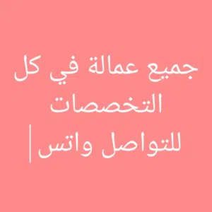 member165385733319 
