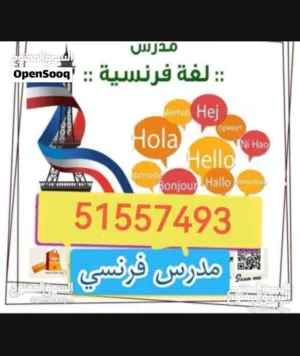مدرس فرنسي خبره كبيره صف11و12 (شرح القواعد-تلخيص للوحدات _حل اختبارات الفاينال ) شرح سهل ومبسط