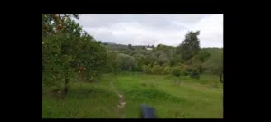 Mixed Use Land for Sale in Latakia Other