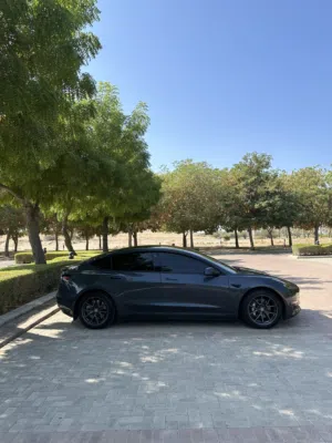 Used Tesla Model 3 in Muscat