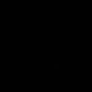 bxlo 