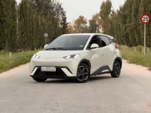 BYD Seagull 2023 405km