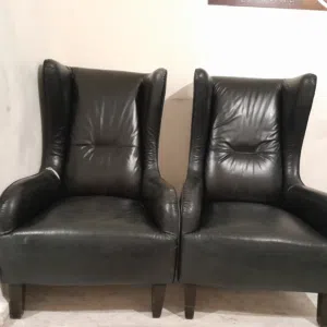جلد حصان طبيعي لون اسود