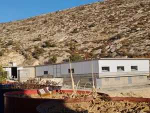 مزارع الدواجن