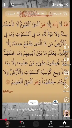 سكن عزاب دايم