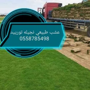 ابراهيم زغلول 