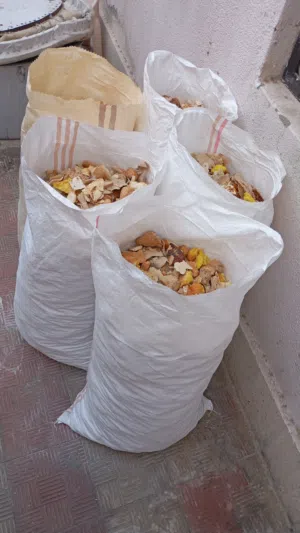 خبز ميبس وا جاهز بشكل يومي