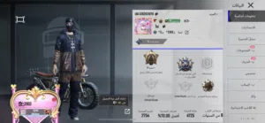 Pubg Accounts and Characters for Sale in Zarqa