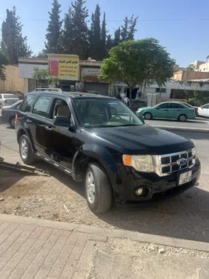 Used Ford Escape in Madaba