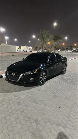التيما 2020 وأرد امريكا