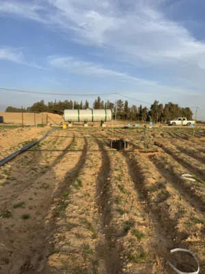 Farm Land for Sale in Amman Dab'a