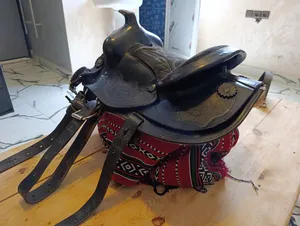 ‏الصيد ‏.‏ اخرى‏0