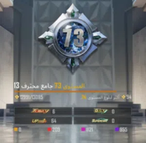 حساب للبيع (وصف مهم)