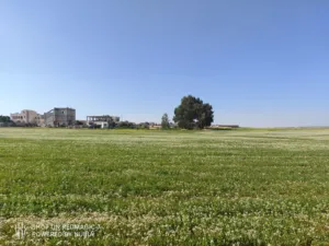 Farm Land for Sale in Amman Al Jizah