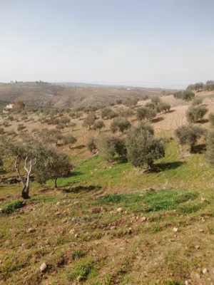 دونم ارض للبيع واصل ماء وكهرباء