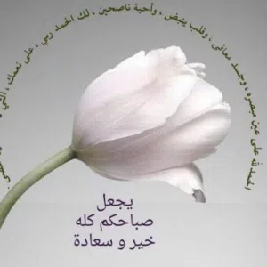 yousef Ali