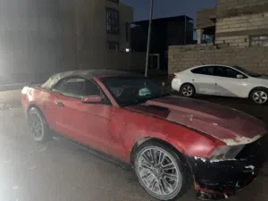 موستانج 10 كشف للبيع
