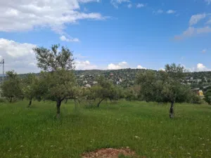 Mixed Use Land for Sale in Zarqa Al-Alouk