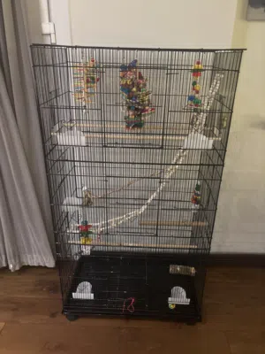 Bird cage and bird stand combo
