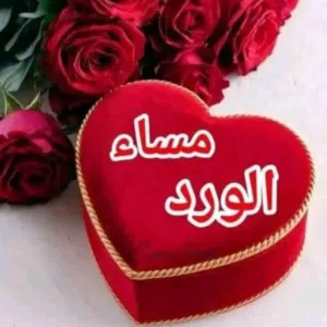 ايمن العبادي