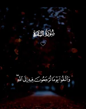 مراد محمود نواصره 