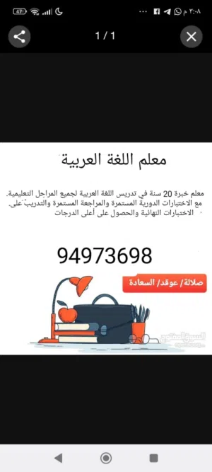 عاشق لغة الضاد