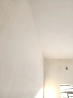 خلفة لباخ اسود وابيض