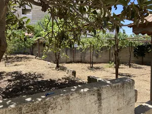 Mixed Use . 770 m2 . Landlord4