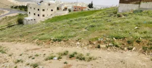 Residential Land for Sale in Zarqa Graiba